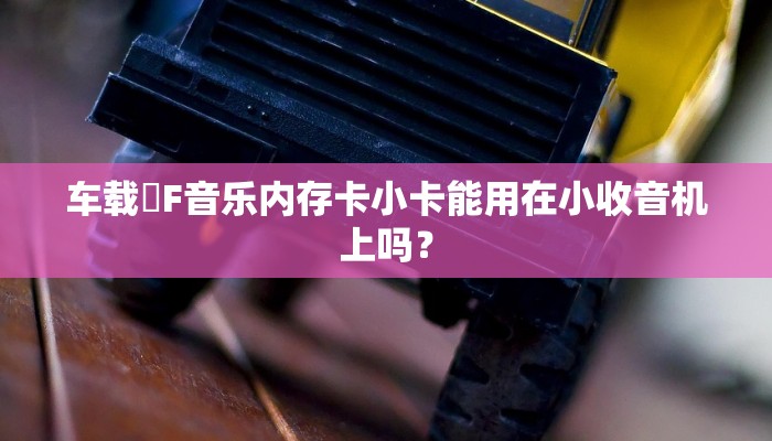 车载丅F音乐内存卡小卡能用在小收音机上吗？