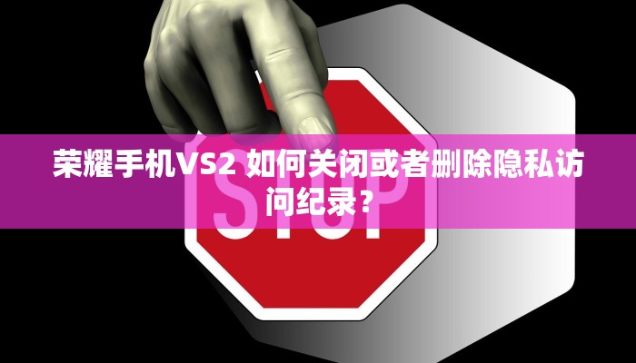 荣耀手机VS2 如何关闭或者删除隐私访问纪录？