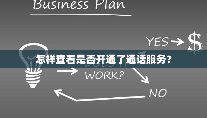 怎样查看是否开通了通话服务？