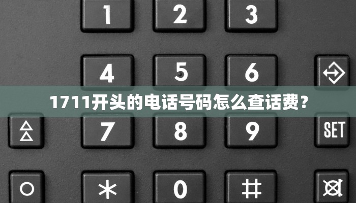 1711开头的电话号码怎么查话费？