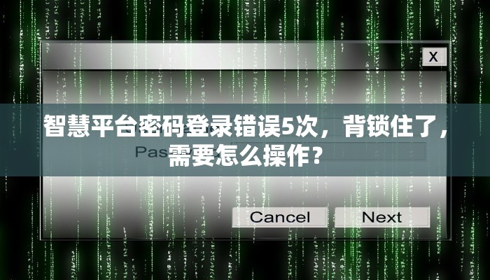 智慧平台密码登录错误5次，背锁住了，需要怎么操作？