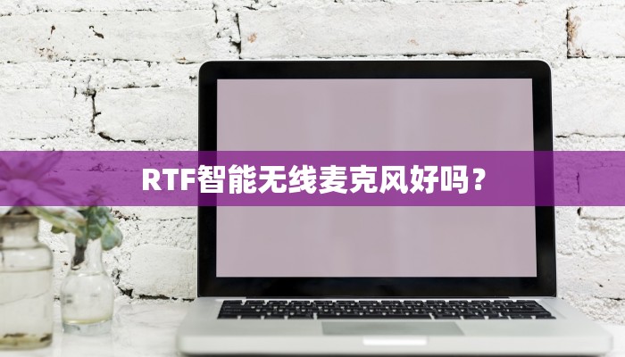 RTF智能无线麦克风好吗？