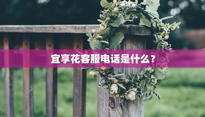 深圳黛美琪这个牌子怎么样？