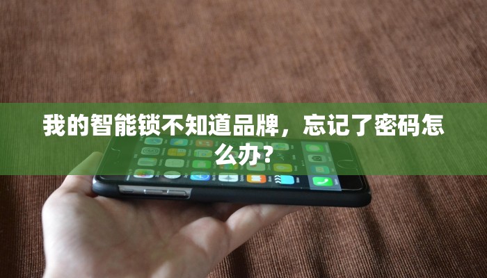 我的智能锁不知道品牌，忘记了密码怎么办？
