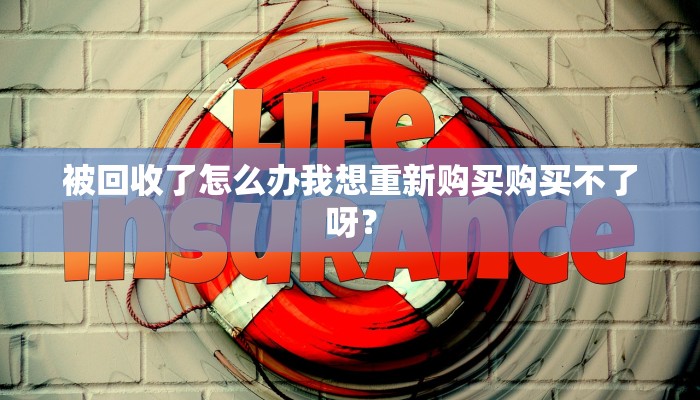 被回收了怎么办我想重新购买购买不了呀？
