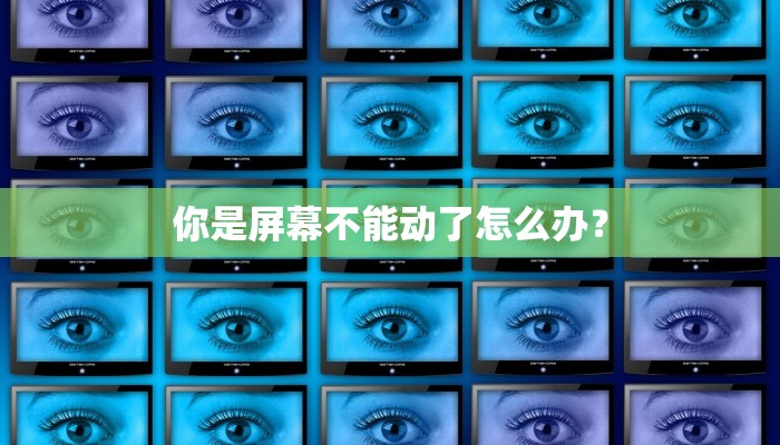 你是屏幕不能动了怎么办？
