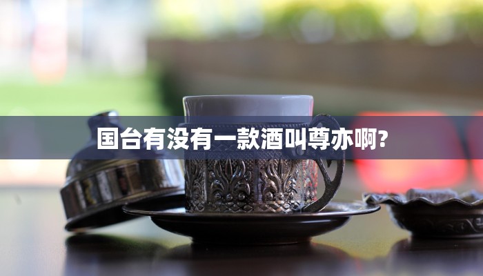国台有没有一款酒叫尊亦啊?