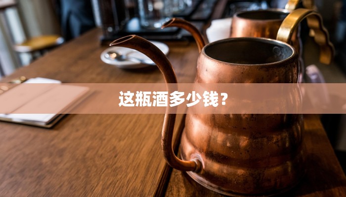 这瓶酒多少钱？