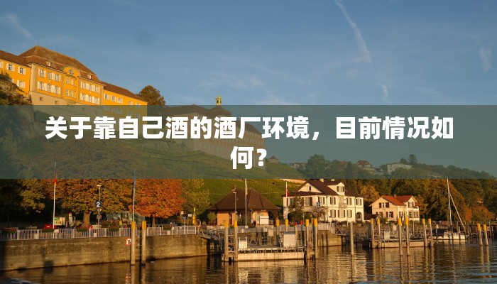 关于靠自己酒的酒厂环境，目前情况如何？