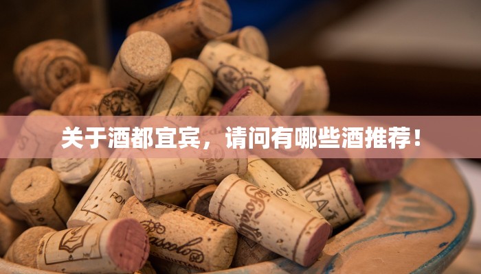 关于酒都宜宾，请问有哪些酒推荐！
