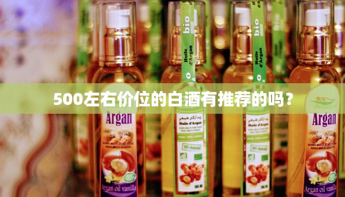 500左右价位的白酒有推荐的吗？