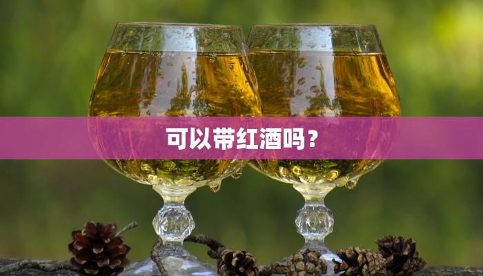 可以带红酒吗？