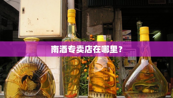 南酒专卖店在哪里？