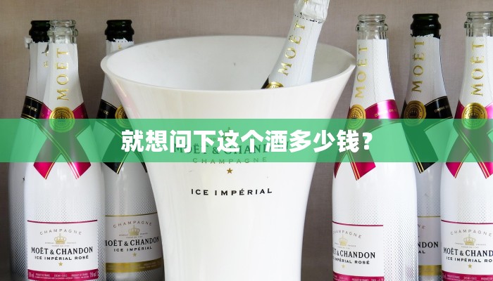 就想问下这个酒多少钱？