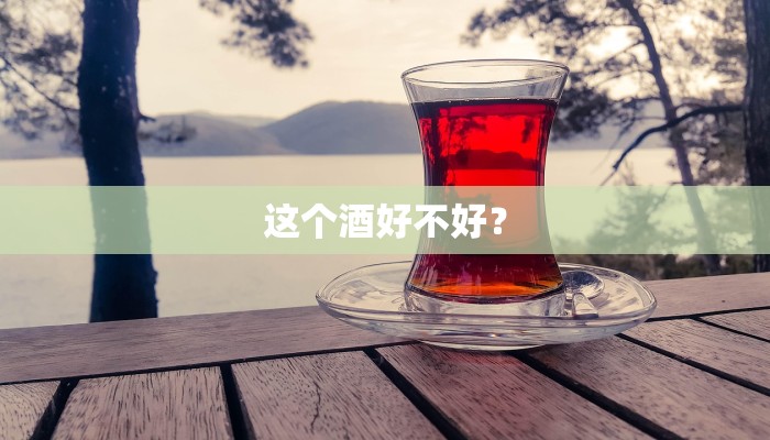 这个酒好不好？