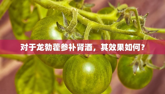 对于龙勃藿参补肾酒，其效果如何？