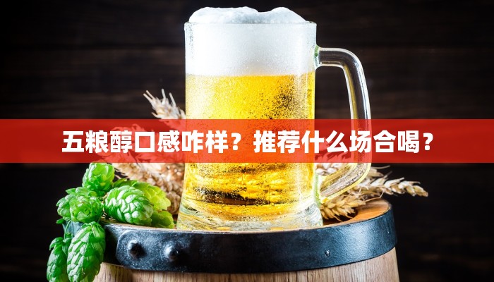 五粮醇口感咋样？推荐什么场合喝？