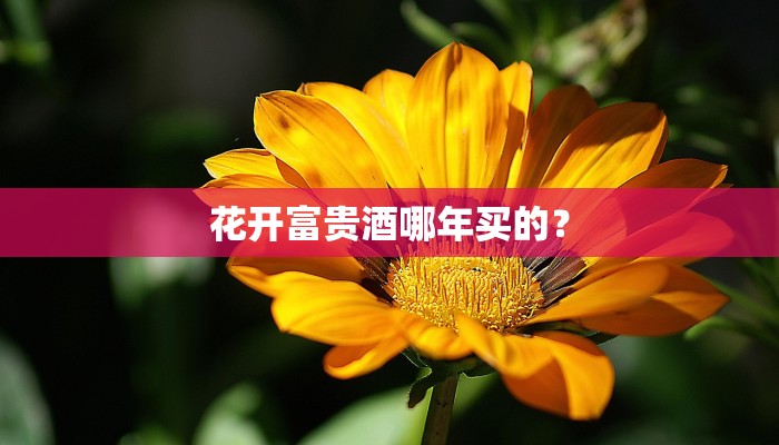 花开富贵酒哪年买的？