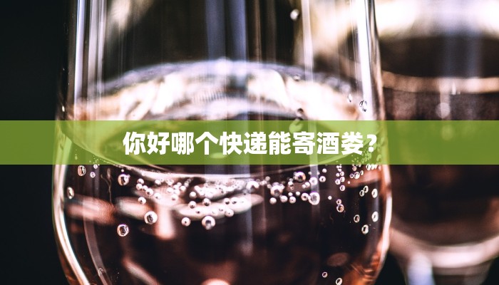 你好哪个快递能寄酒娄？
