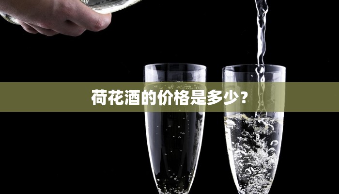 荷花酒的价格是多少？