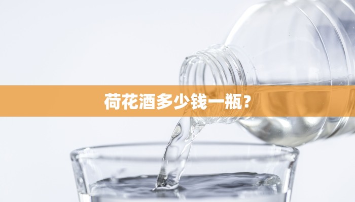 荷花酒多少钱一瓶？