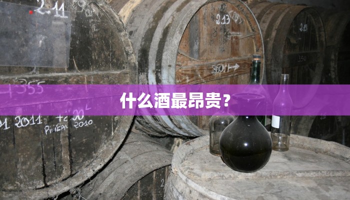 什么酒最昂贵？