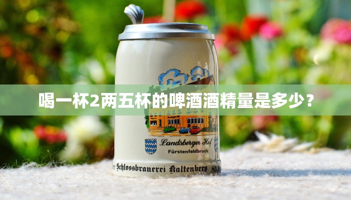 喝一杯2两五杯的啤酒酒精量是多少？