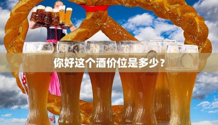 你好这个酒价位是多少？