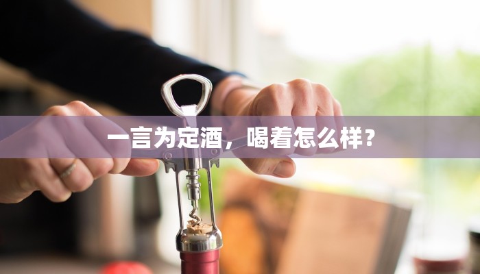 一言为定酒，喝着怎么样？