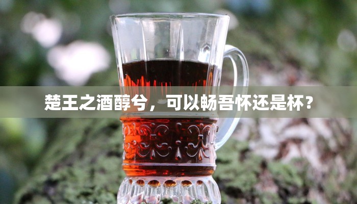 楚王之酒醇兮，可以畅吾怀还是杯？