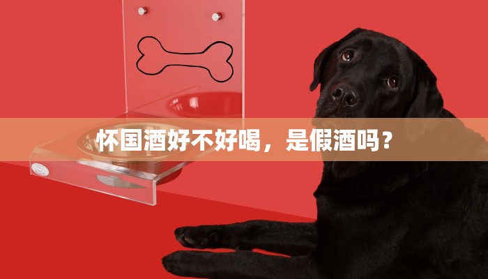 怀国酒好不好喝，是假酒吗？