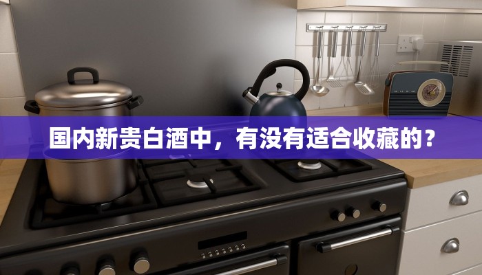 国内新贵白酒中，有没有适合收藏的？