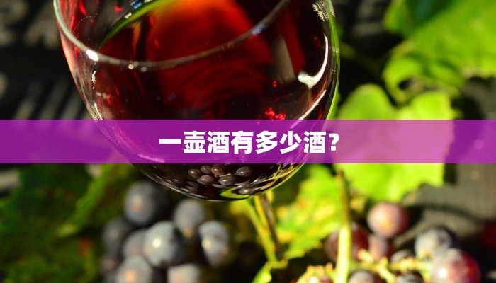 一壶酒有多少酒？
