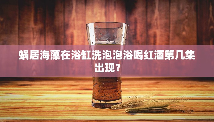 蜗居海藻在浴缸洗泡泡浴喝红酒第几集出现？