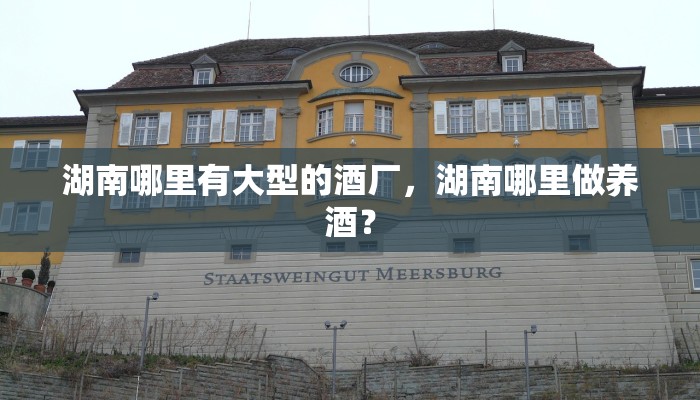湖南哪里有大型的酒厂，湖南哪里做养酒？