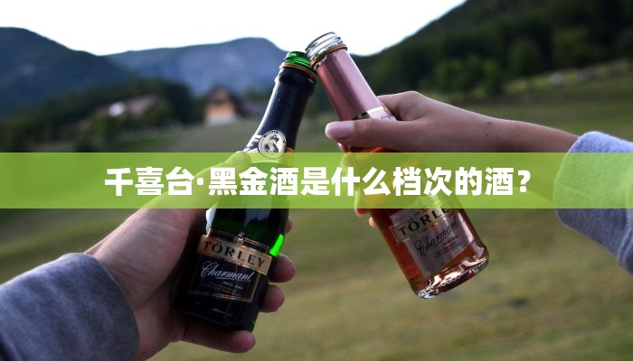 千喜台·黑金酒是什么档次的酒？