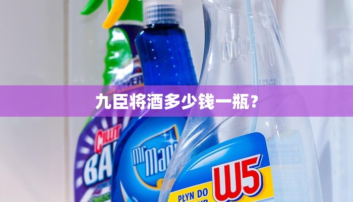 九臣将酒多少钱一瓶？