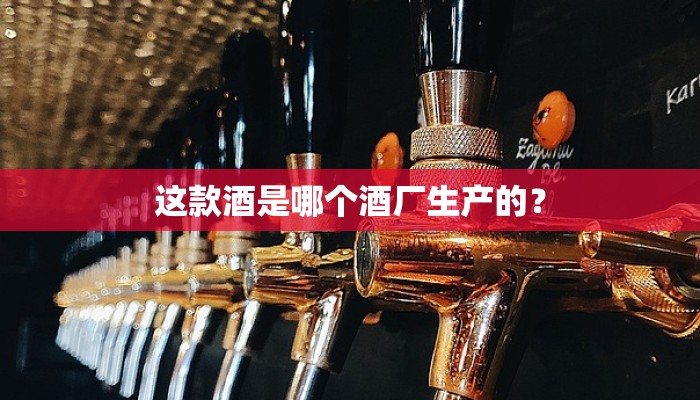 这款酒是哪个酒厂生产的？