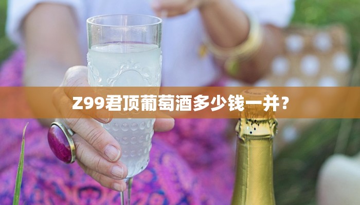 Z99君顶葡萄酒多少钱一并？