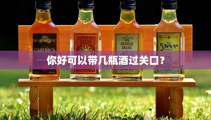 你好可以带几瓶酒过关口？