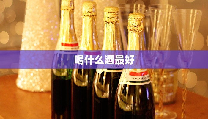 喝什么酒最好