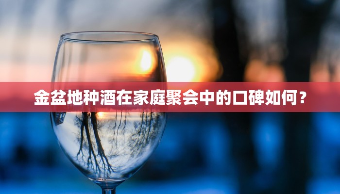 金盆地种酒在家庭聚会中的口碑如何？