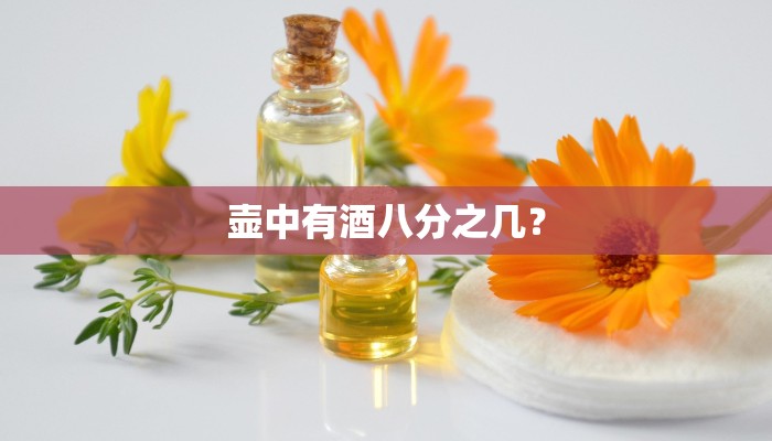 壶中有酒八分之几？