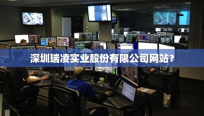 深圳瑞凌实业股份有限公司网站？