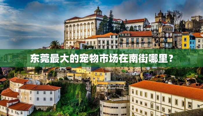 东莞最大的宠物市场在南街哪里？