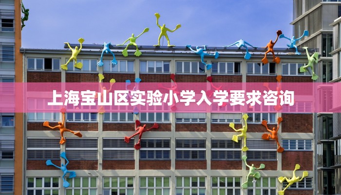 上海宝山区实验小学入学要求咨询