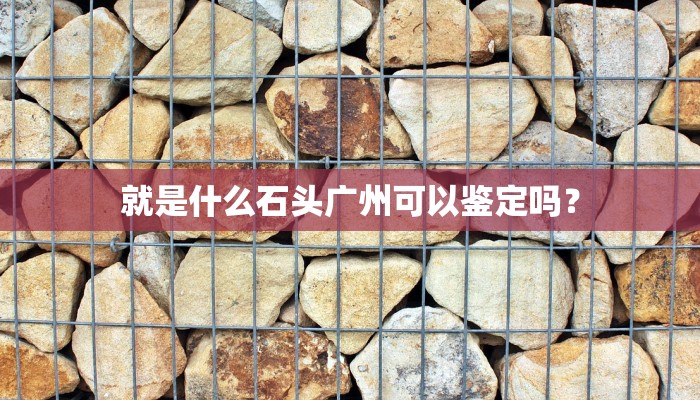 就是什么石头广州可以鉴定吗？