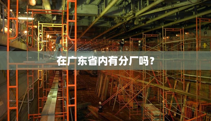 在广东省内有分厂吗？