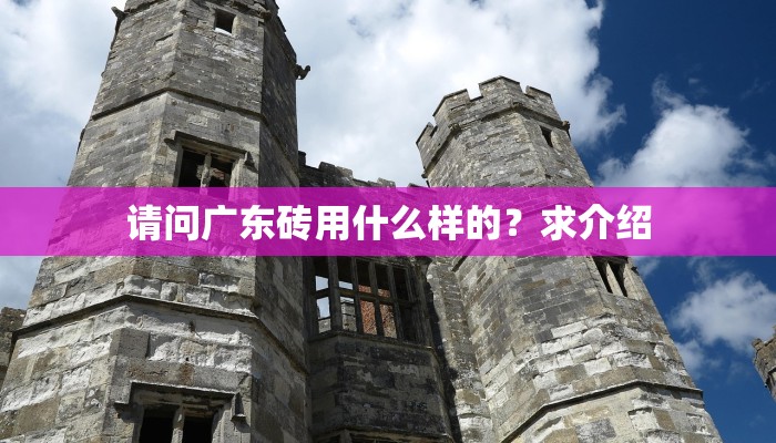 请问广东砖用什么样的？求介绍