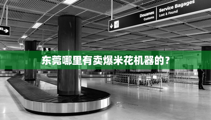 东莞哪里有卖爆米花机器的？